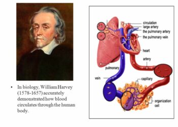 مكتشف الدورة الدموية