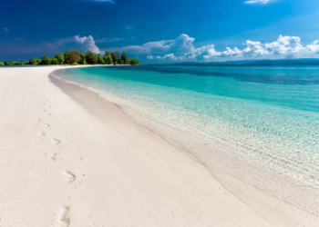 إغلاق 4 شواطئ جنوب شرق ميشغان بموجب تحذيرات التلوث