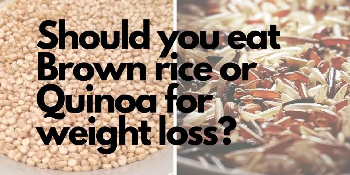 هل الأرز البني مفيد للريجيم وفقدان الوزن