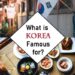 بماذا تشتهر كوريا الجنوبية