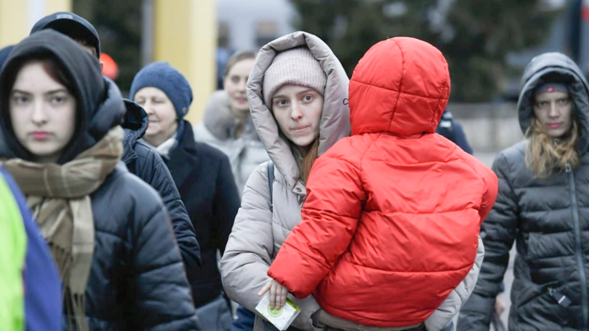 راتب اللاجئ في روسيا