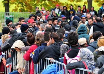 راتب اللاجئ في سويسرا