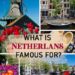 بماذا تشتهر هولندا