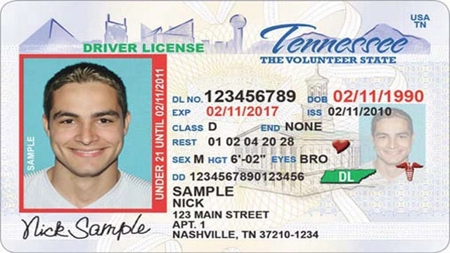 اختبار رخصة السيارة في تينيسي امريكا