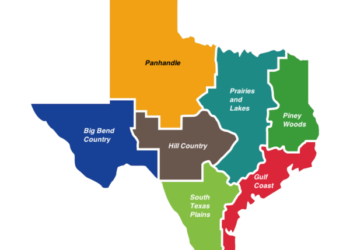 مساحة ولاية تكساس 