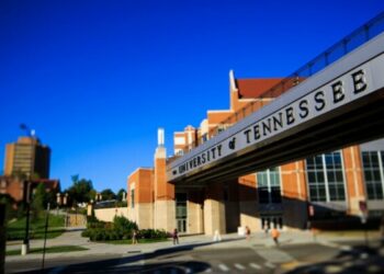جامعة تينيسي 