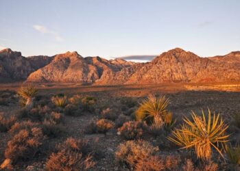 صحراء نيفادا